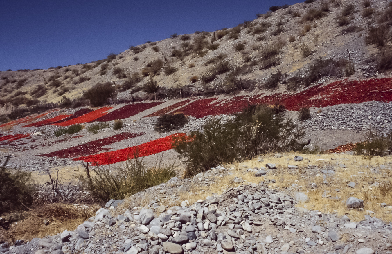 Drying Chillies North of Salta