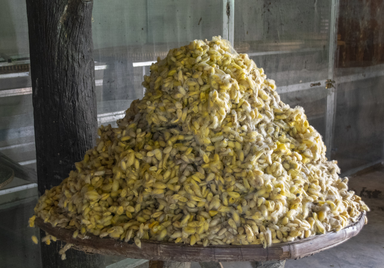 Koh Oknha Tey - Silk Making