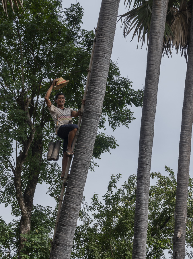 Collecting Palm Oil - Kampong Chang
