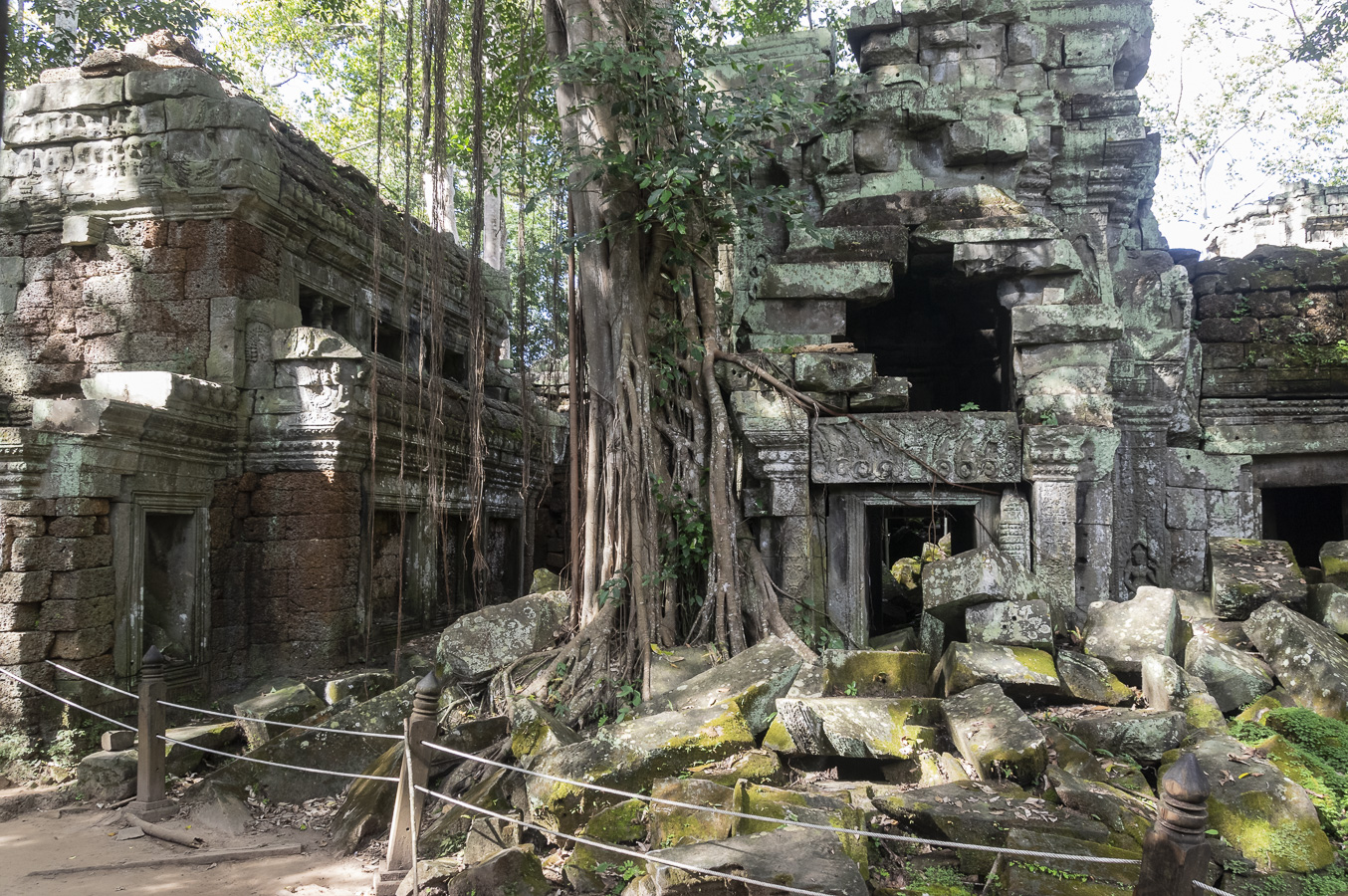 Ta Prohm Temple