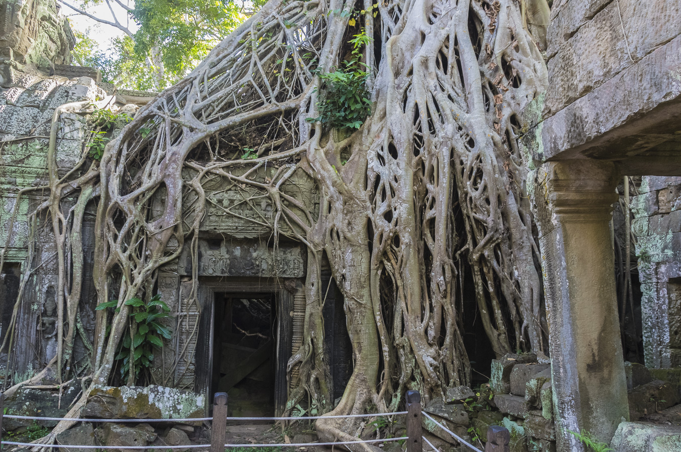 Ta Prohm Temple