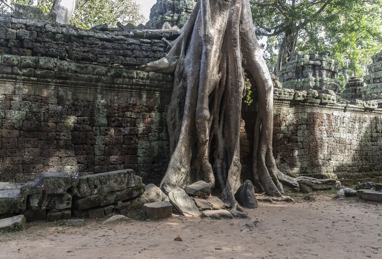 Ta Prohm Temple