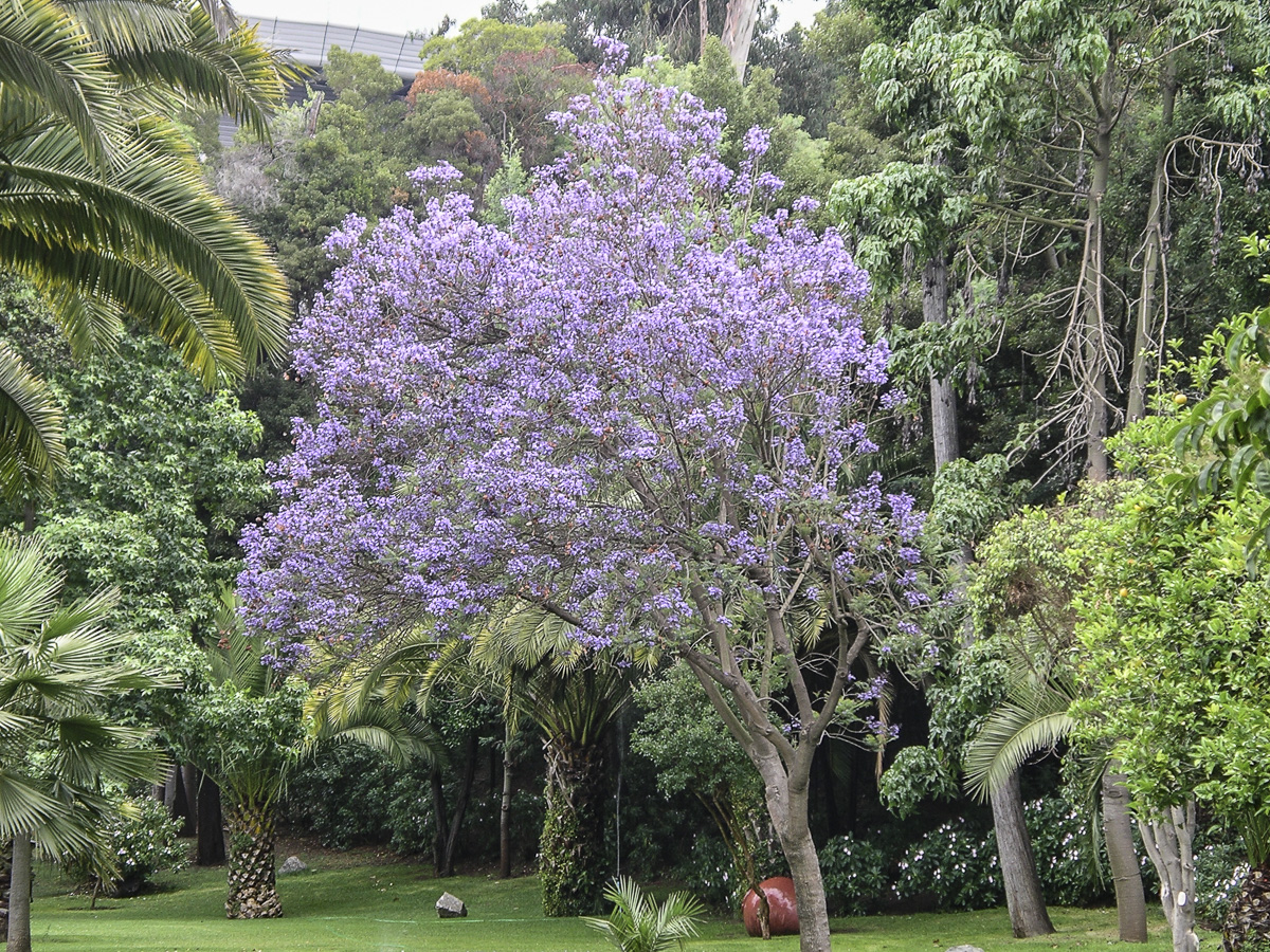 Ogden Gardens - Valparaiso