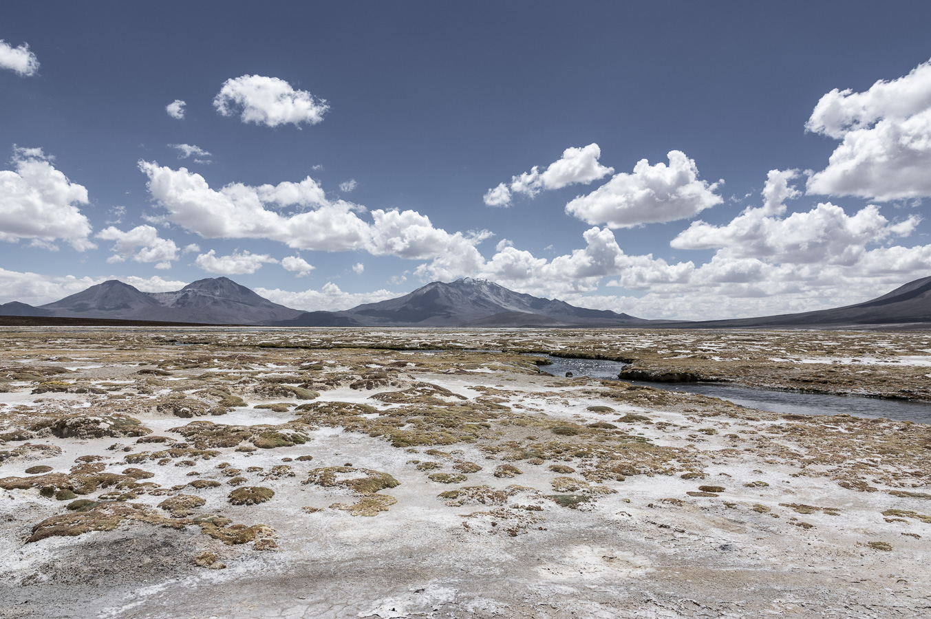 Salar de Surire - Lauca National Park