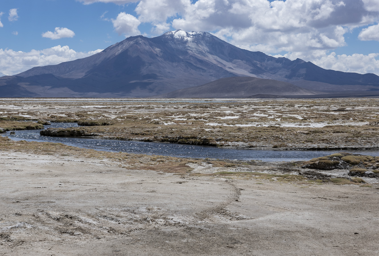 Salar de Surire - Lauca National Park