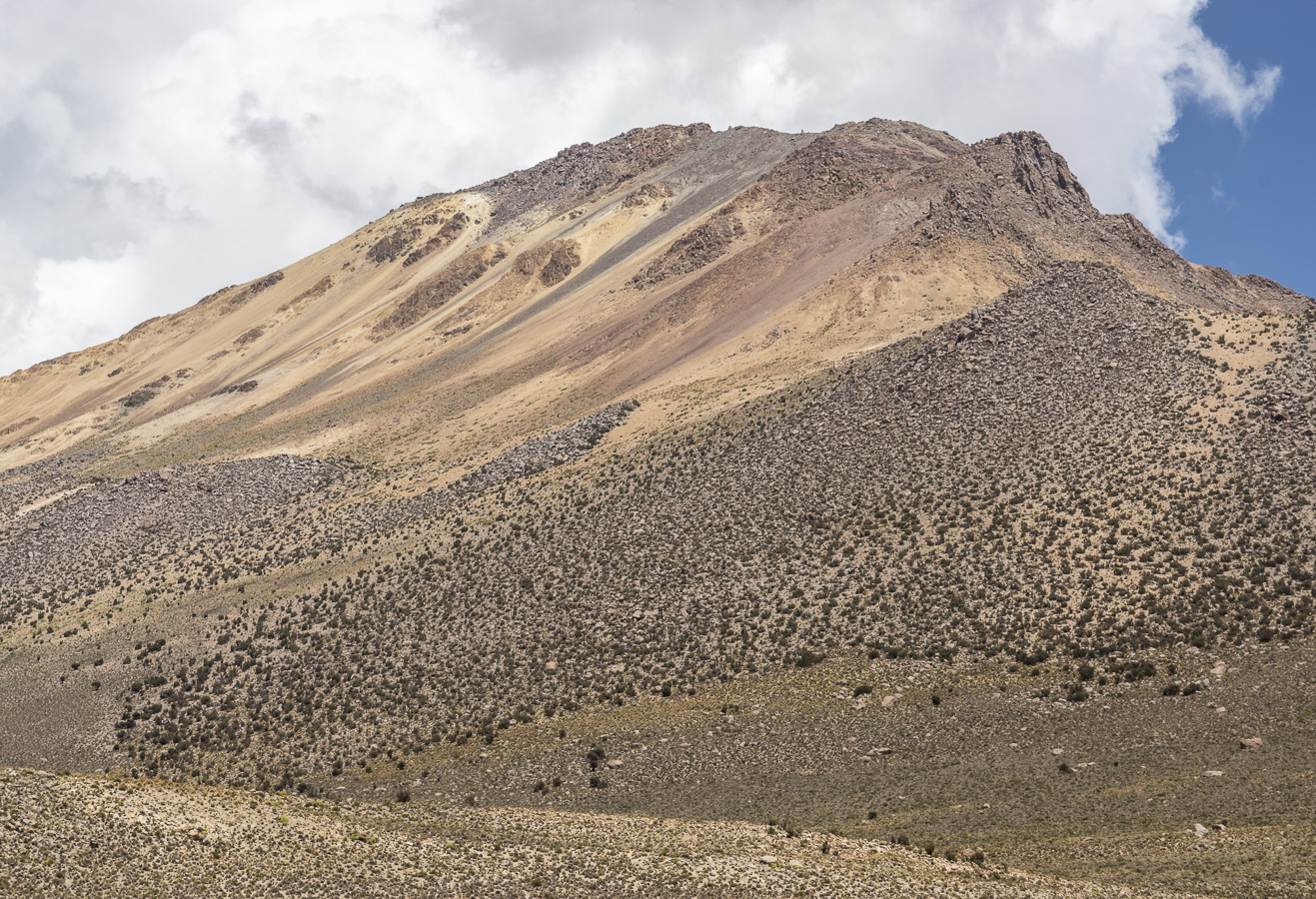 Salar de Surire - Lauca National Park