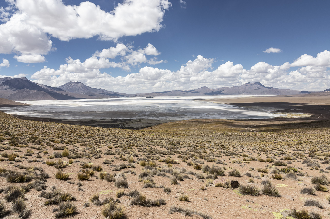 Salar de Surire - Lauca National Park