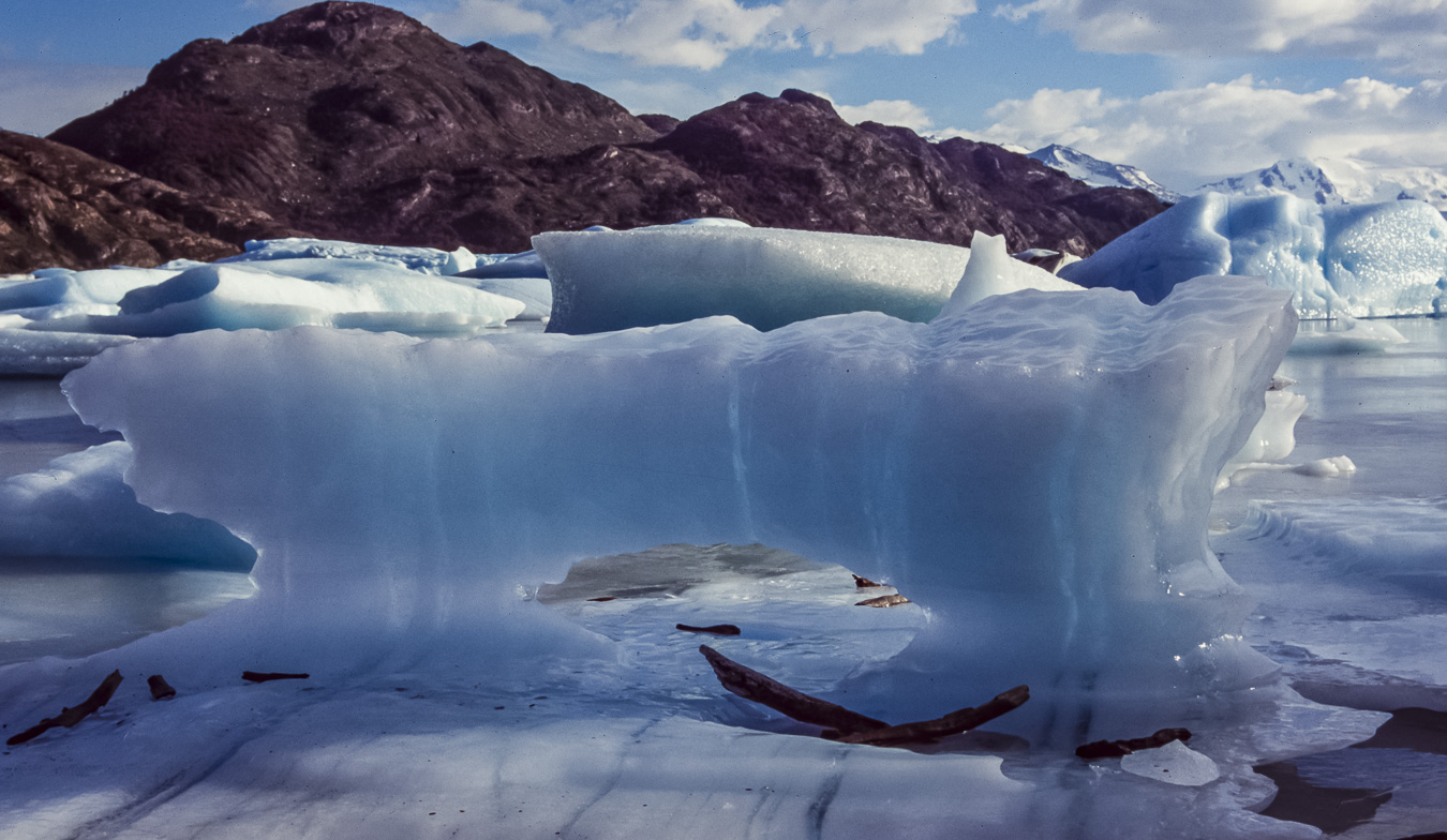 Lago Grey - Torres del Paine National Park