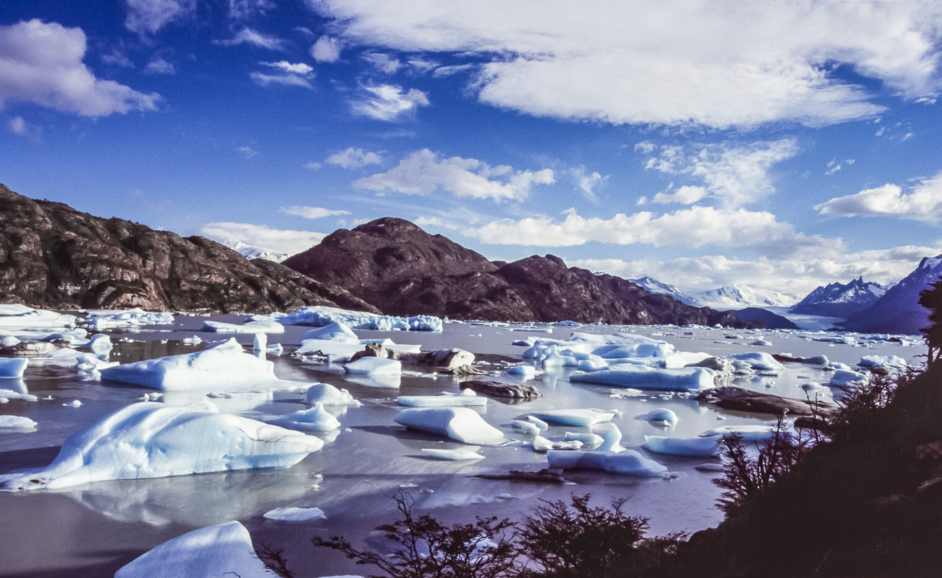 Lago Grey - Torres del Paine National Park