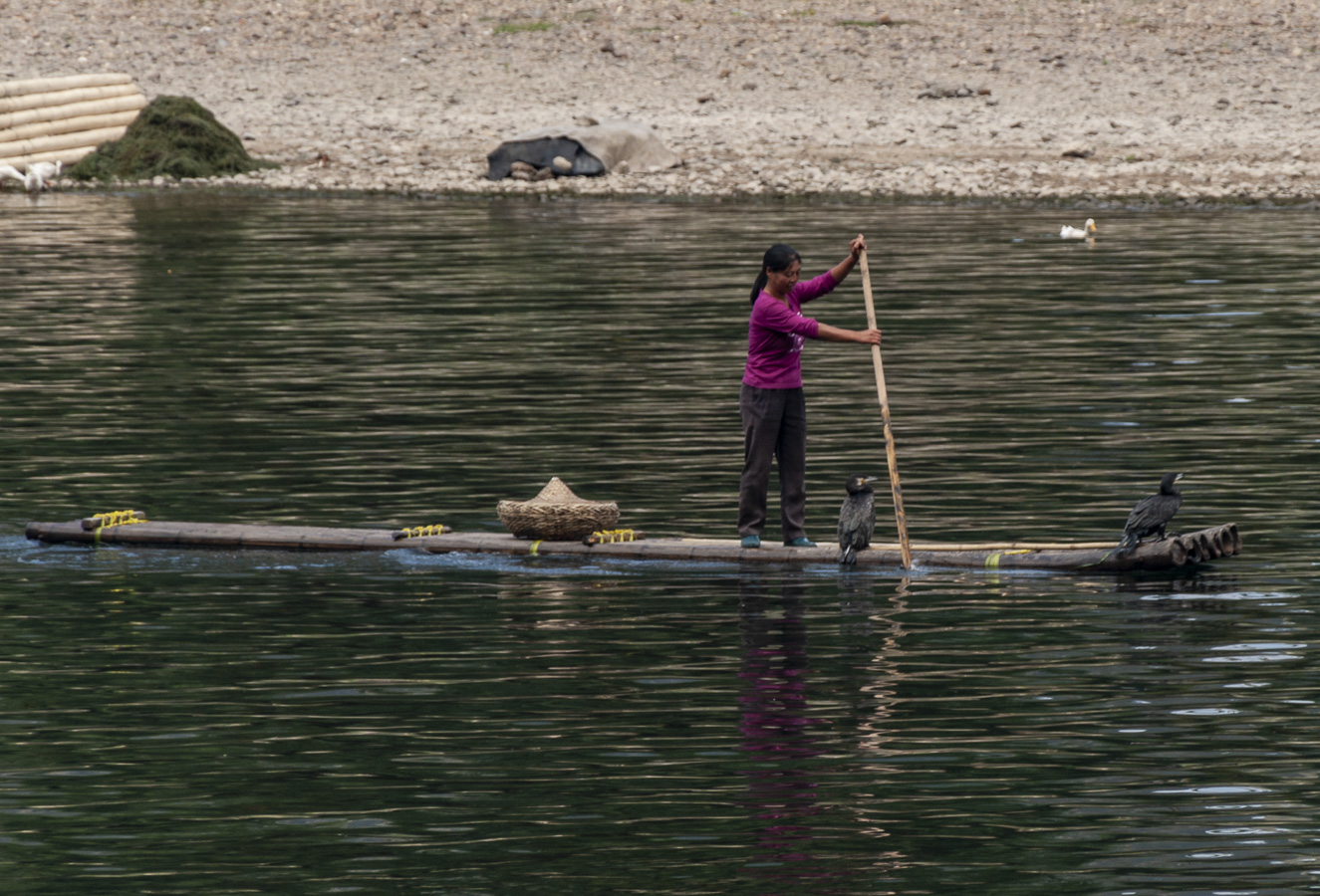 Fishing - Li River