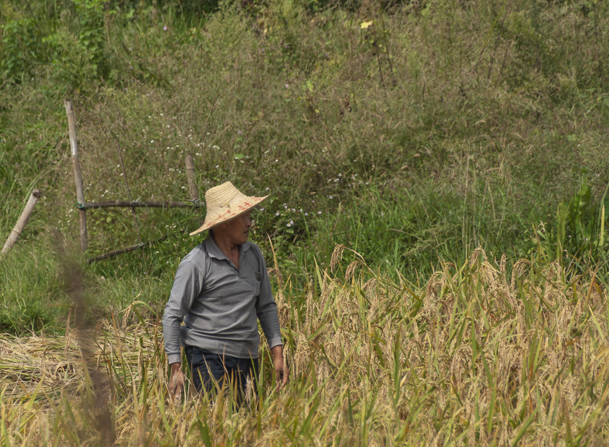 Farm Worker - Yangshuo