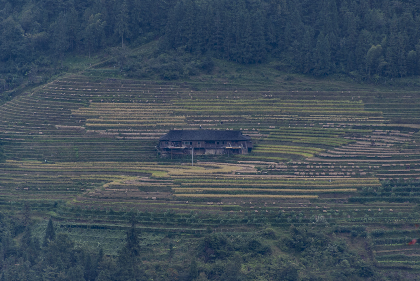Dragon's Backbone Rice Terraces