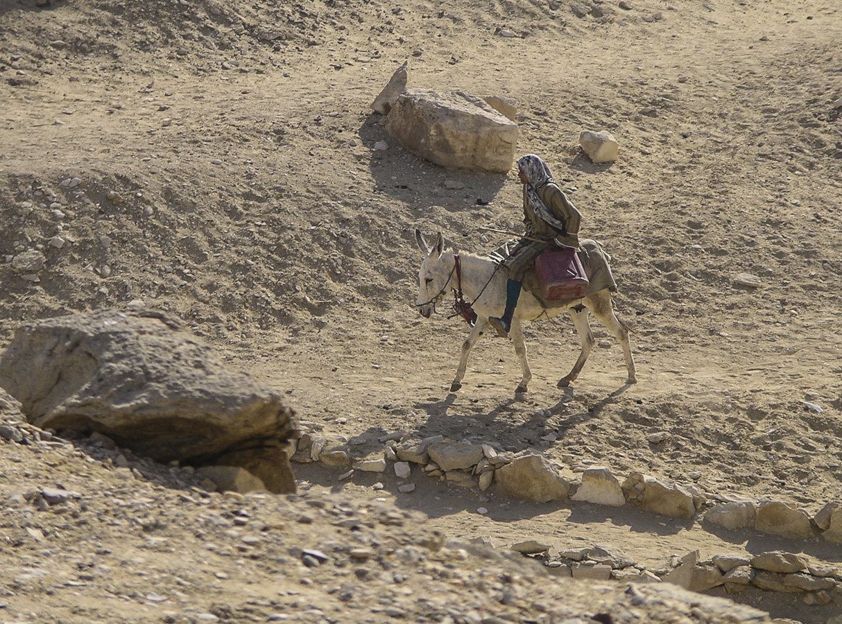 Local Transport - near Saqqara