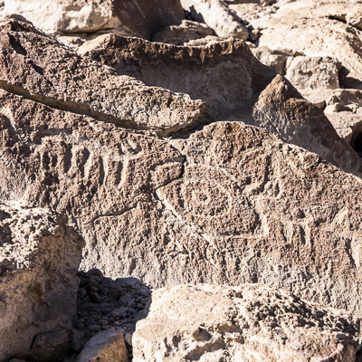 Petroglyphs - Arica