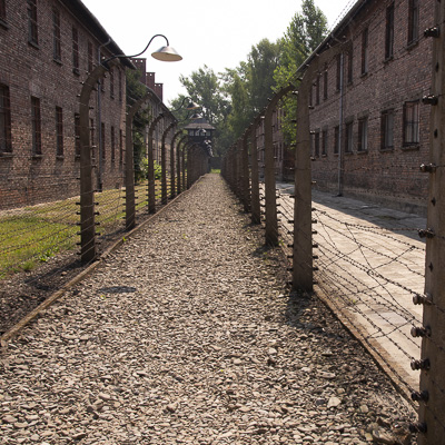 Electric Fence - Auschwitz