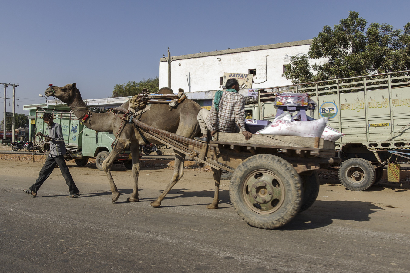 Roadside Jaipur from Agra