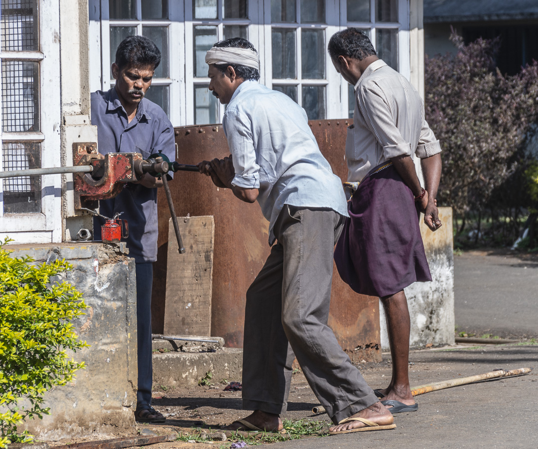 Men at Work - Connemara Tea Plantation