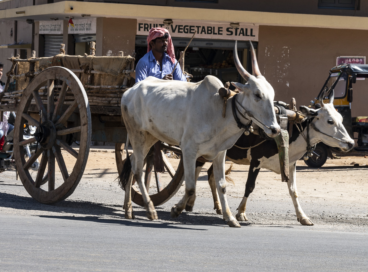 Bullock Cart - en Route to Mysore