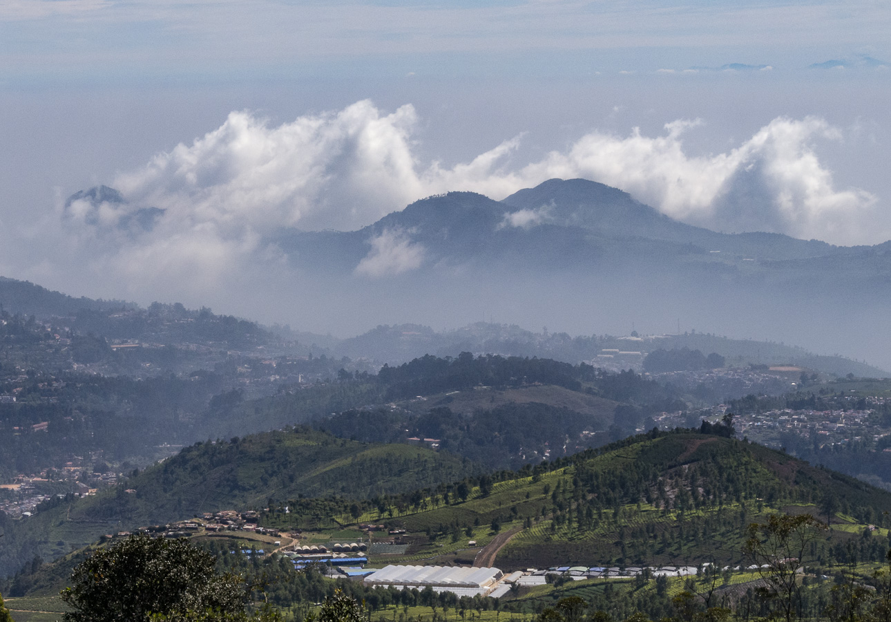 View on the Road from Coonoor up to Ooty