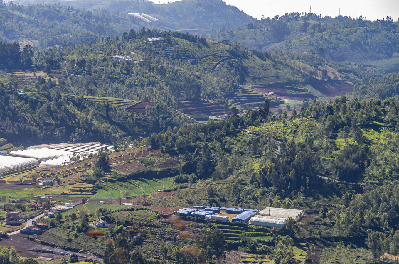 Fertile Valley - near Ooty Station