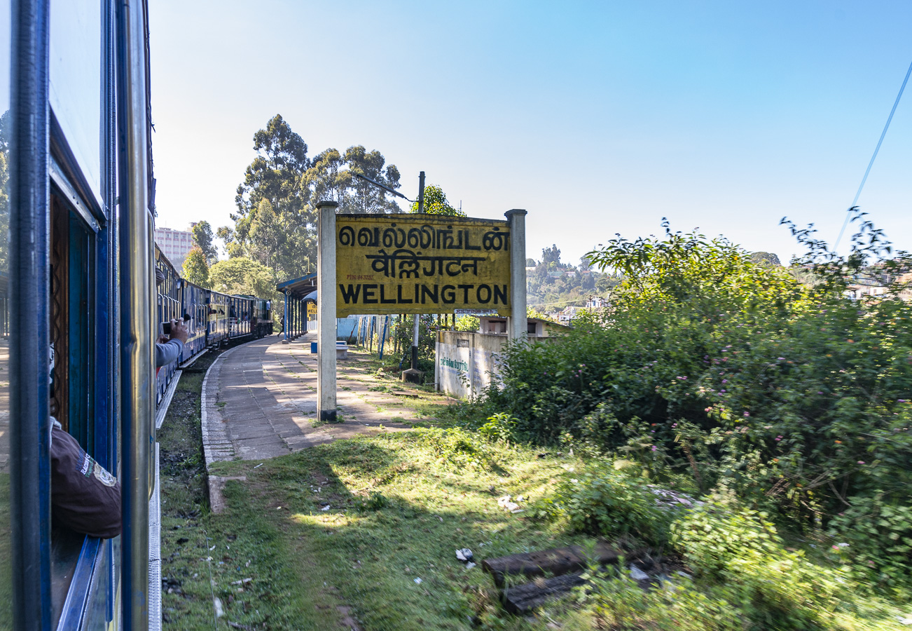 Arrival at Wellington Station