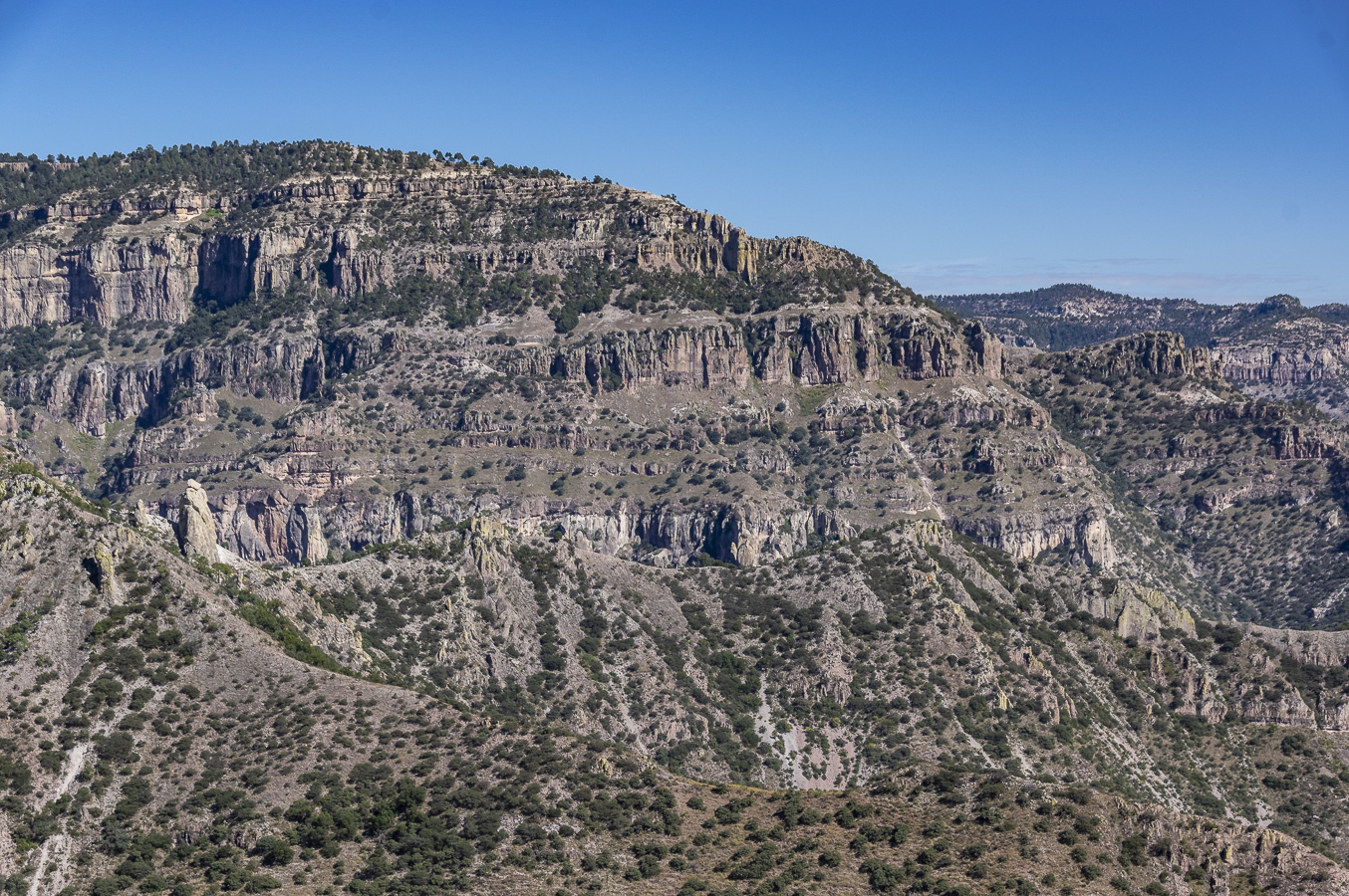 Copper Canyon from Divisadero