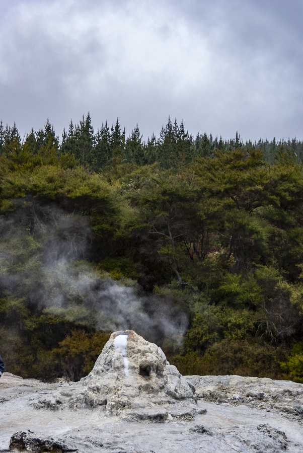Geyser - Wai-u-Tapu,Rotorua, North Island