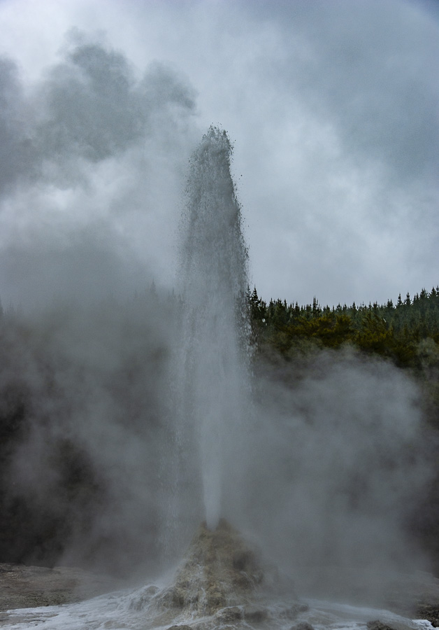Geyser - Wai-u-Tapu,Rotorua, North Island