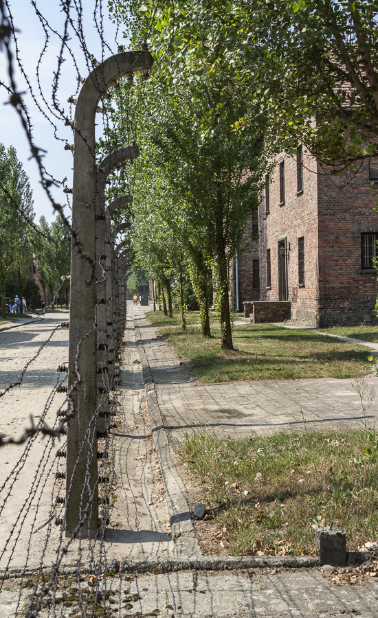 Electric Fence - Auschwitz