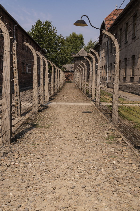 Electric Fence - Auschwitz