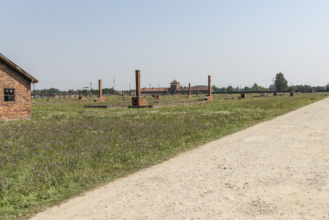 Remaining Hut Chimneys - Birkenau