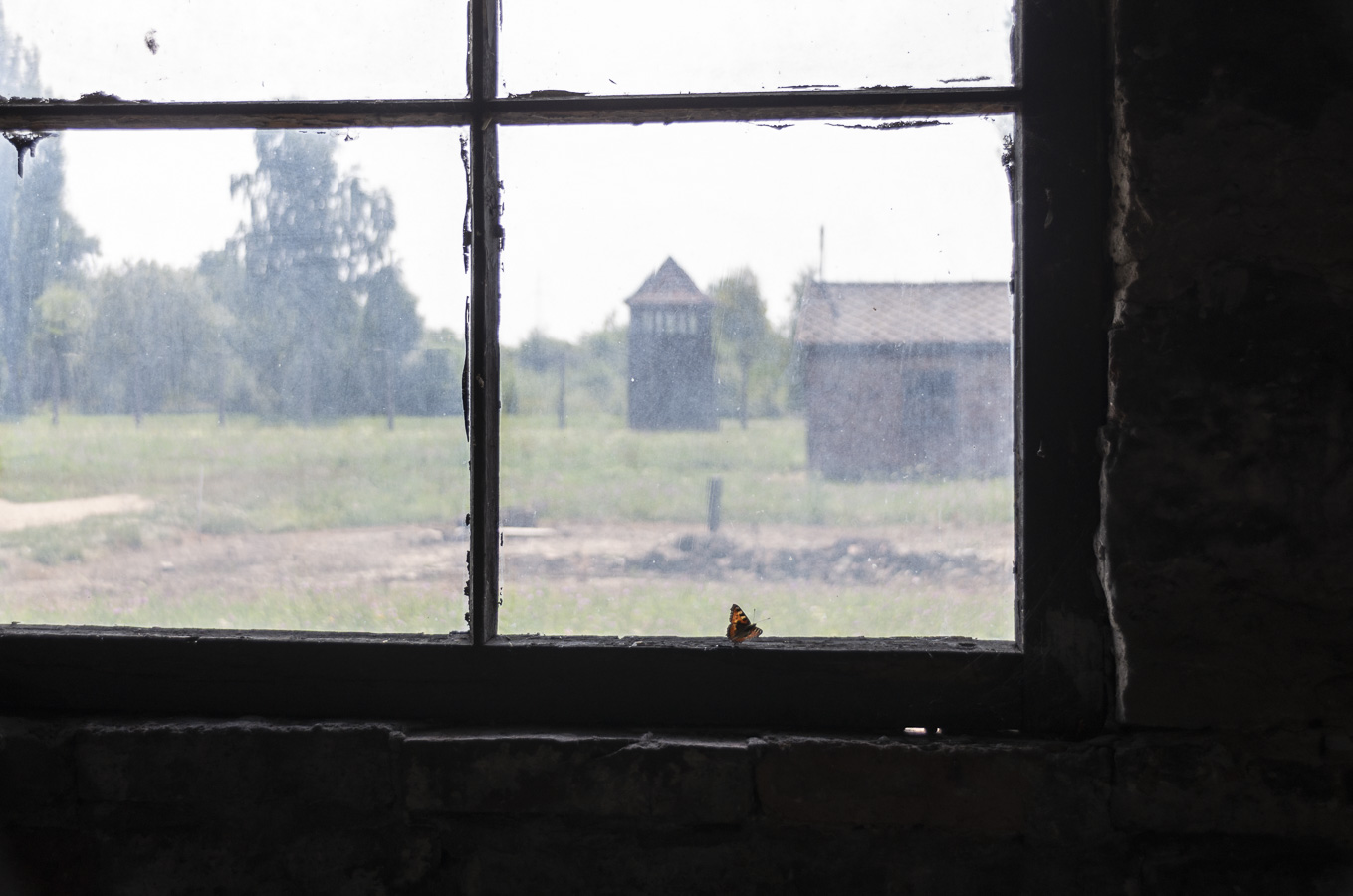 View from Prisoner Hut - Birkenau