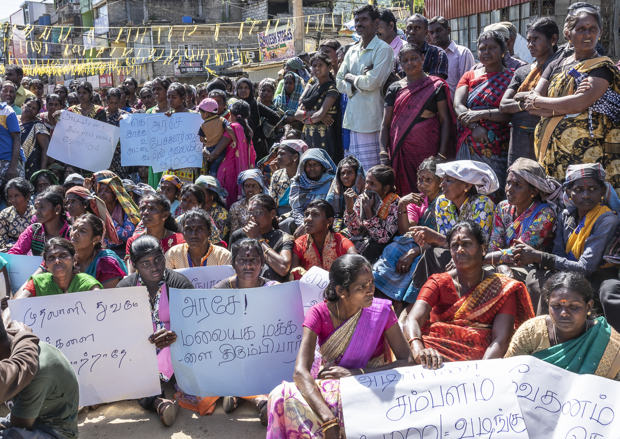 Striking Tea Workers