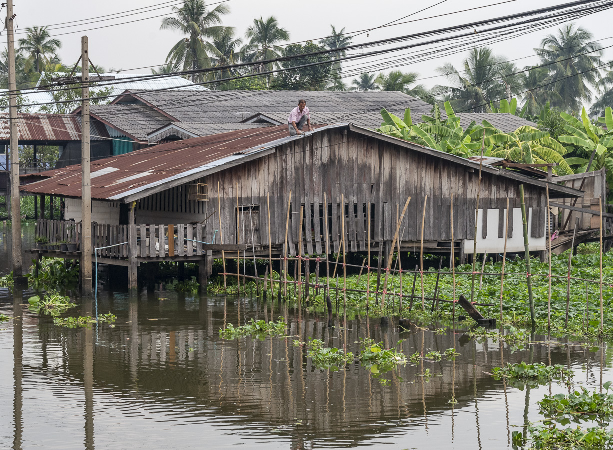 Riverside Houses - Khlong Om Nan River