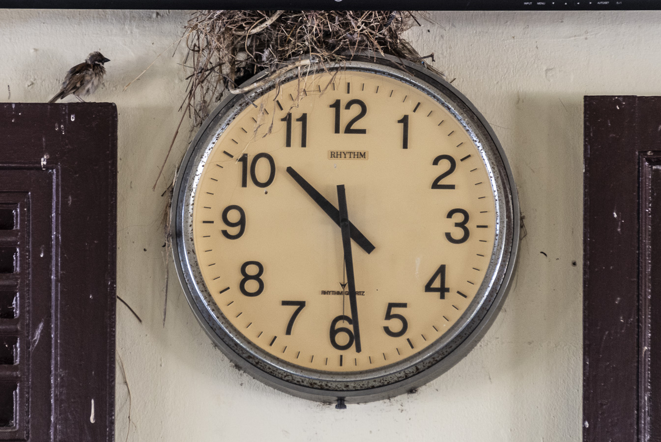 Nesting at Ayuthaya Station