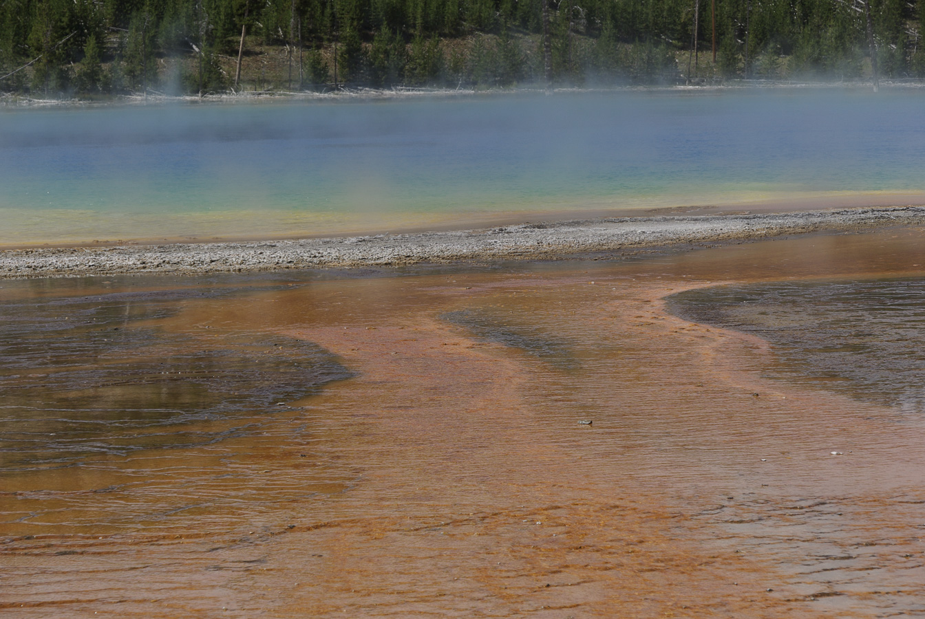 Yellowstone