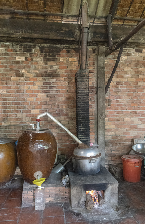 Making Rice Wine